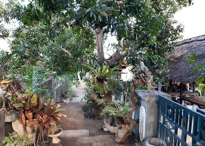 Nusa Virgin House
